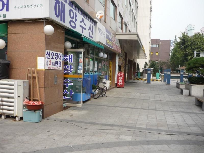 P1060138