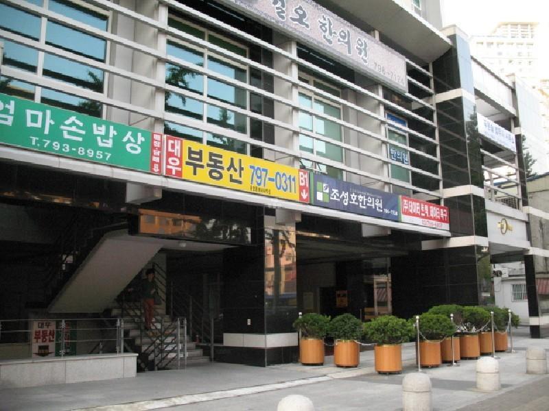 사진 535