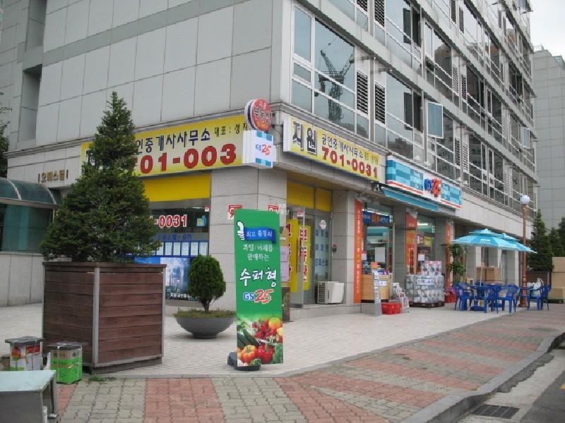 사진 374