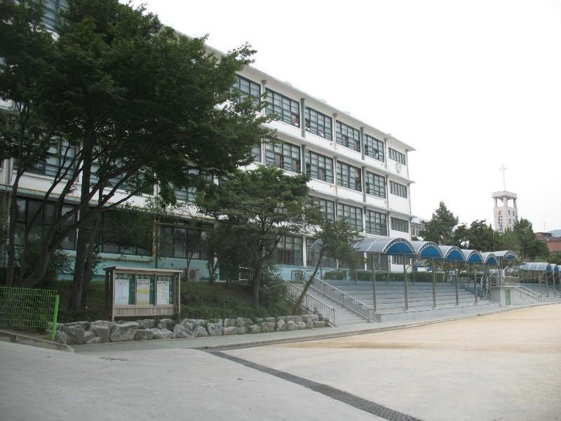 사진 590