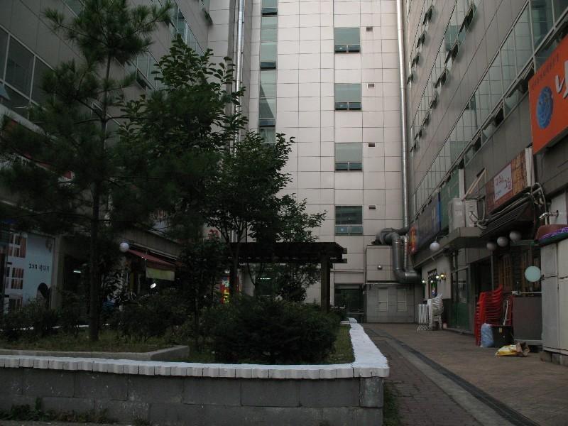 사진 651