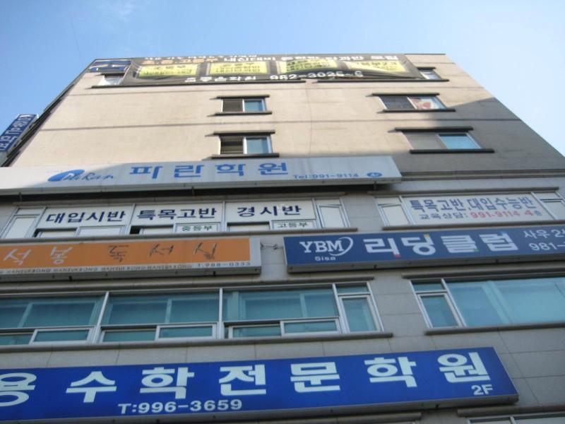 사진 142