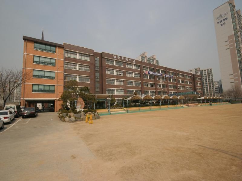 부인초교