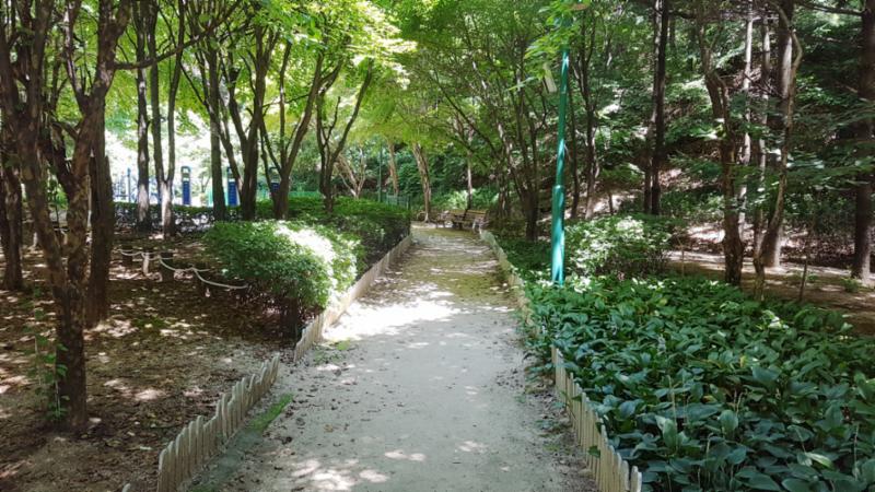 식사 후 산책하기도 좋고, 반려견을 산책시키기에도 좋은 단지 내 산책로네요