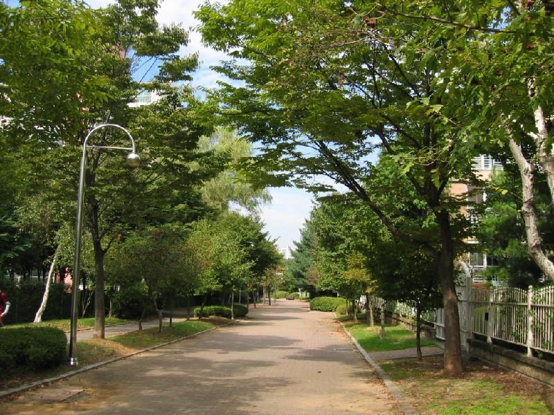 공원도로