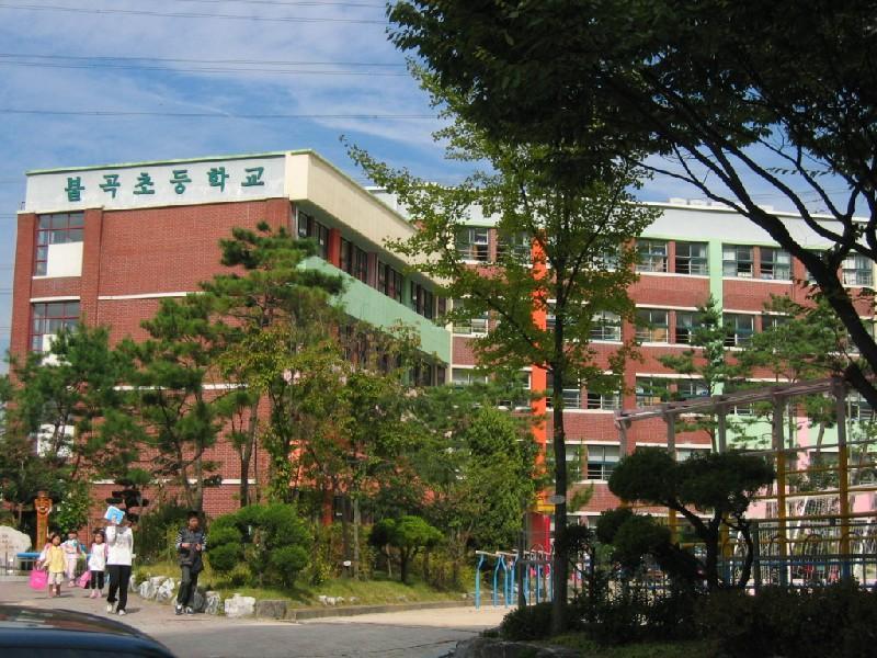 불곡초1