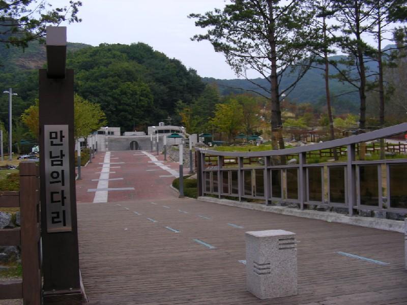 DSCN6706