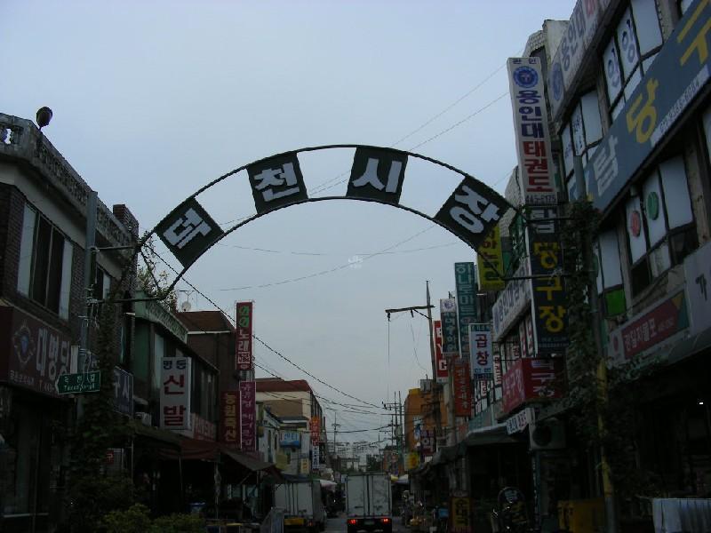 DSCN6533