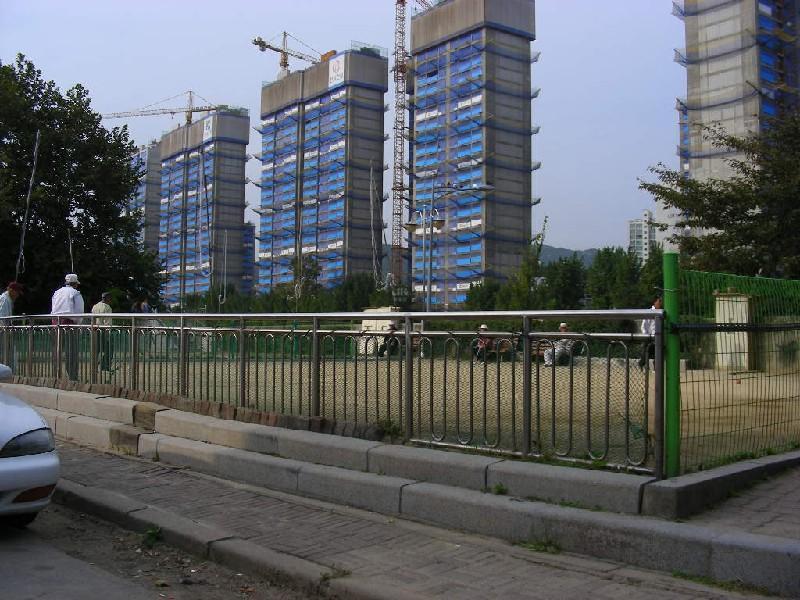 DSCN6545