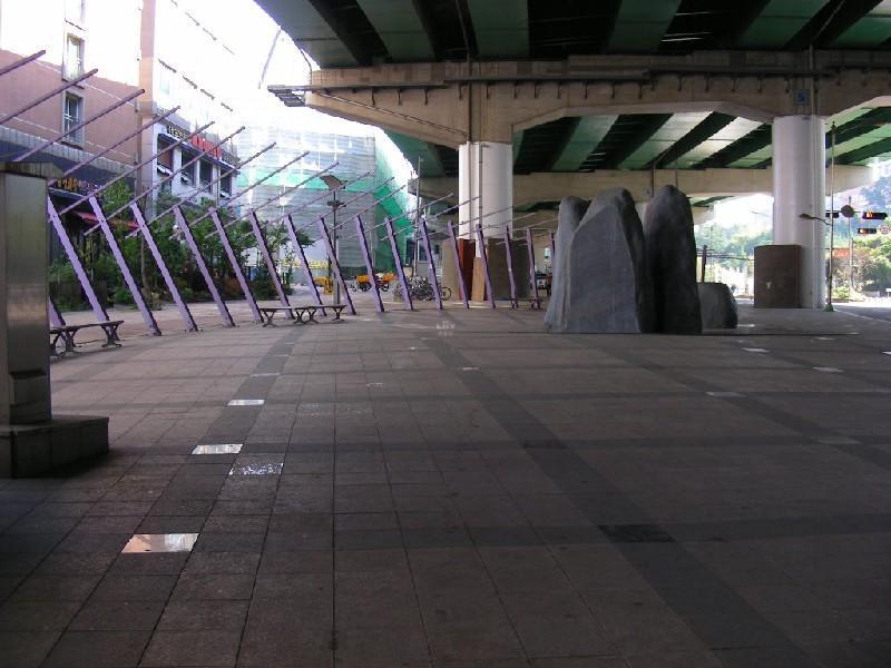 DSCN5631