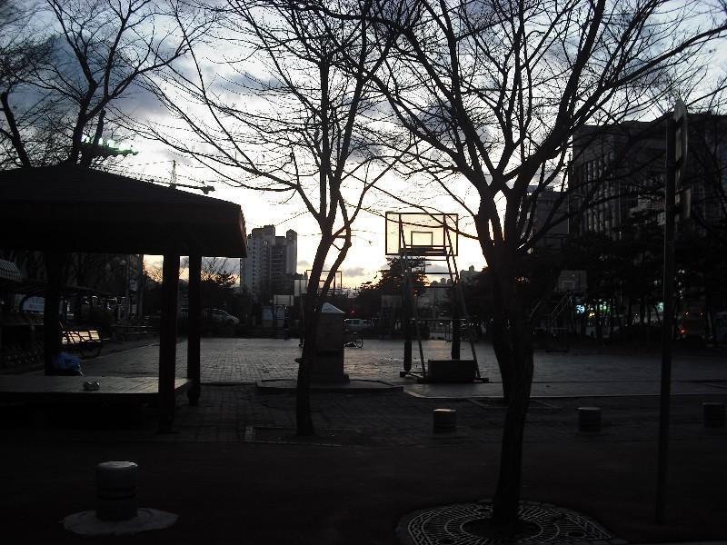 DSCF0681
