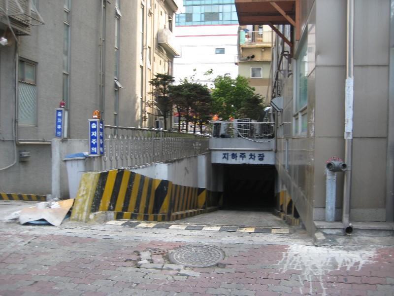사진 262