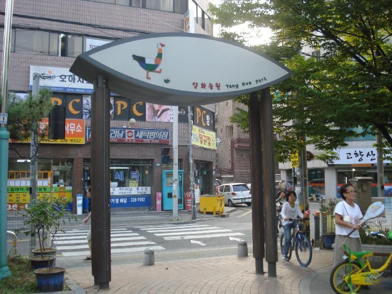 DSC04910