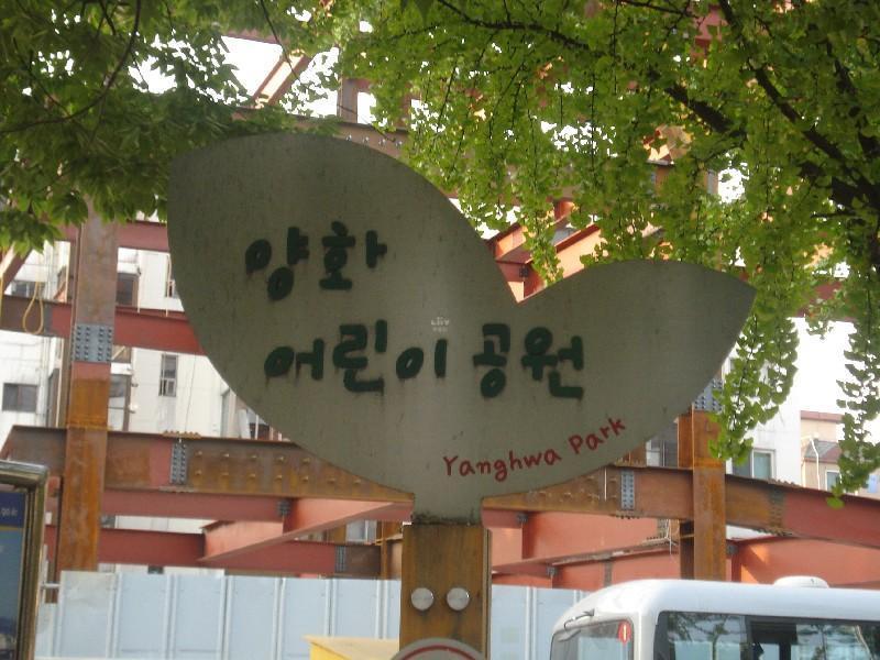 DSC04911