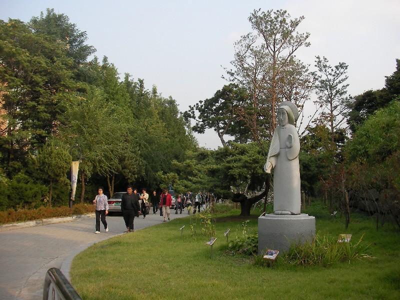 SANY0151