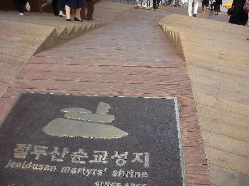 SANY0153
