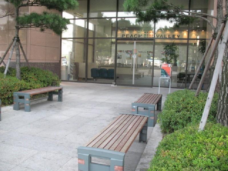 사진 311