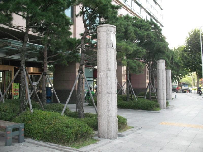 사진 313
