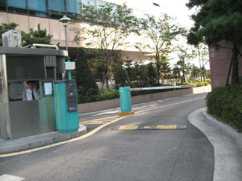 사진 312
