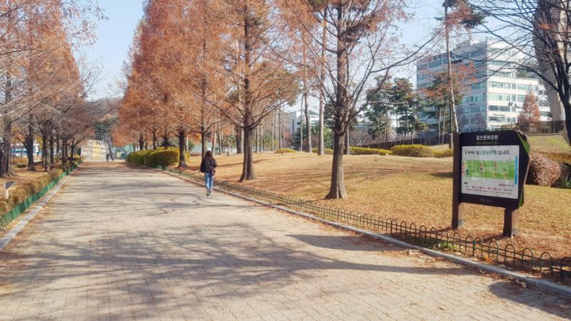 단지 주변으로 일산문화공원이 위치해 있습니다