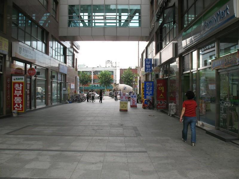 사진 331