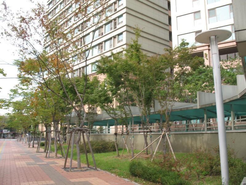 사진 321