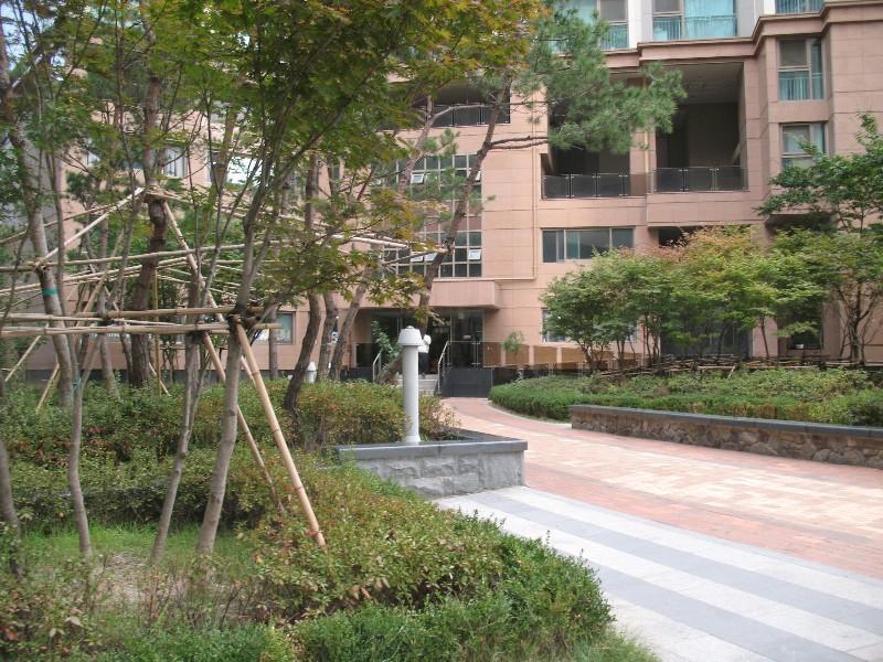 사진 332