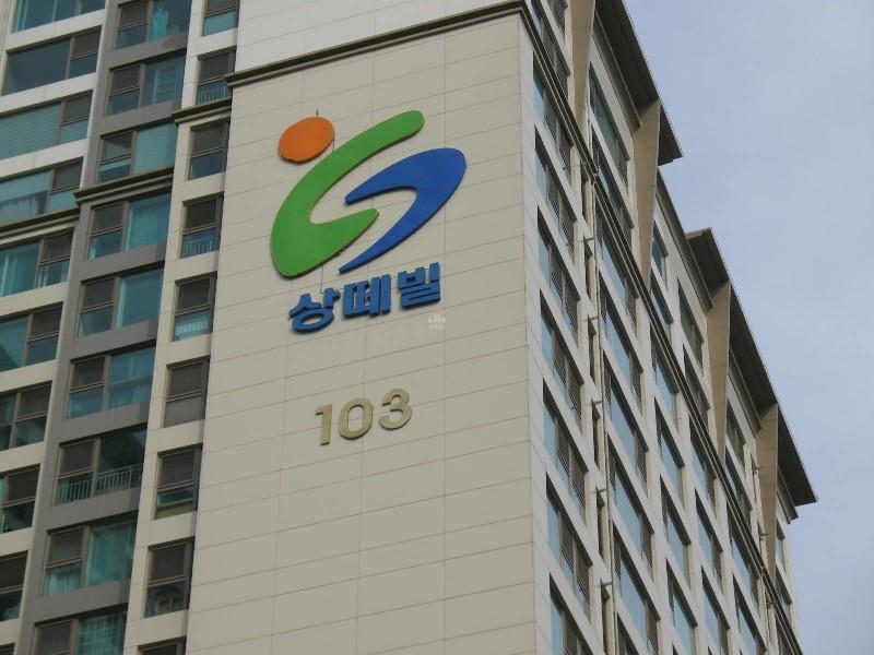 사진 315