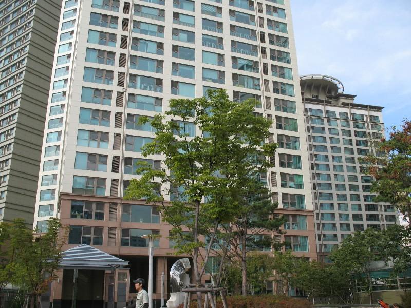 사진 317