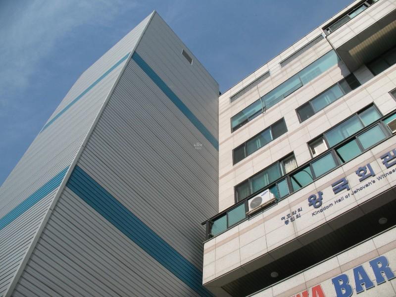 사진 146