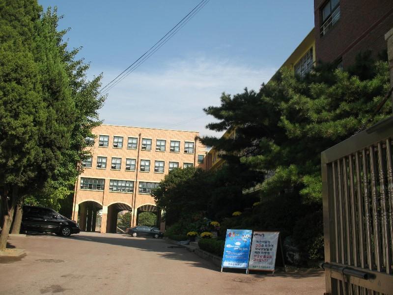 사진 061