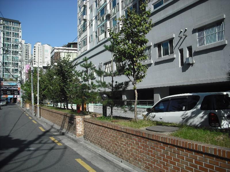 DSCF0475
