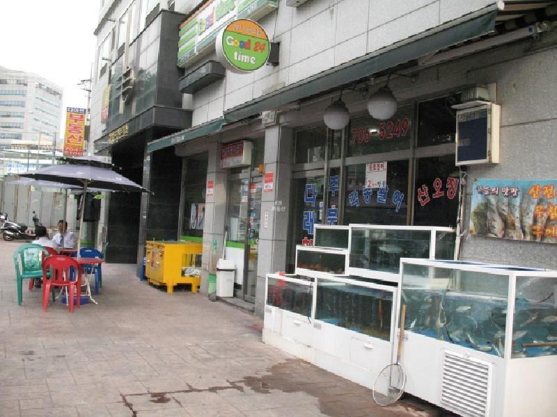 사진 433