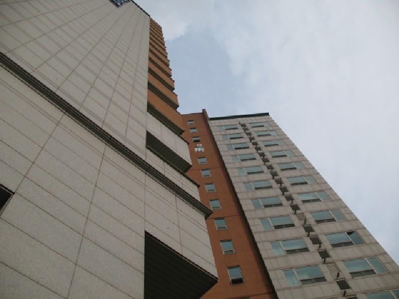 사진 435