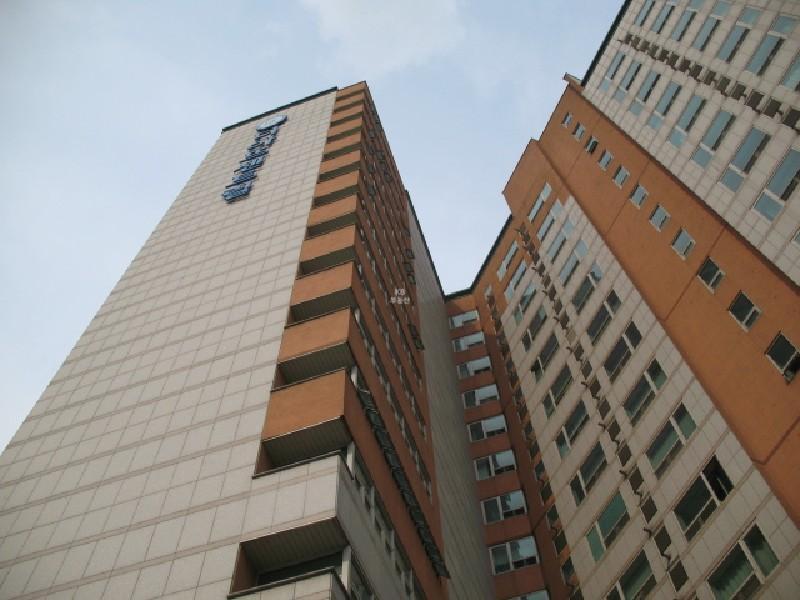 사진 437