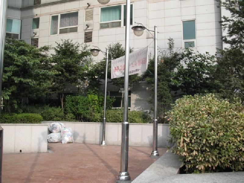 사진 438