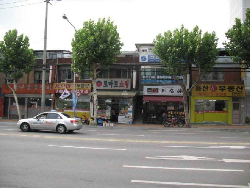 사진 441