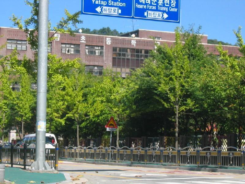 상탑초