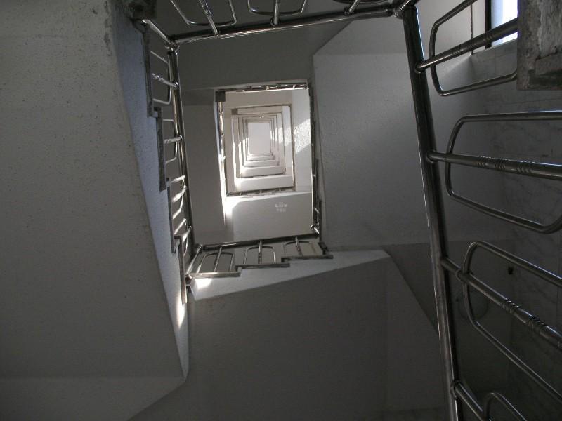 사진 530