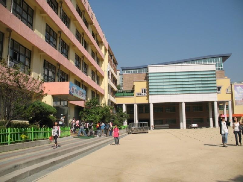 사진 423