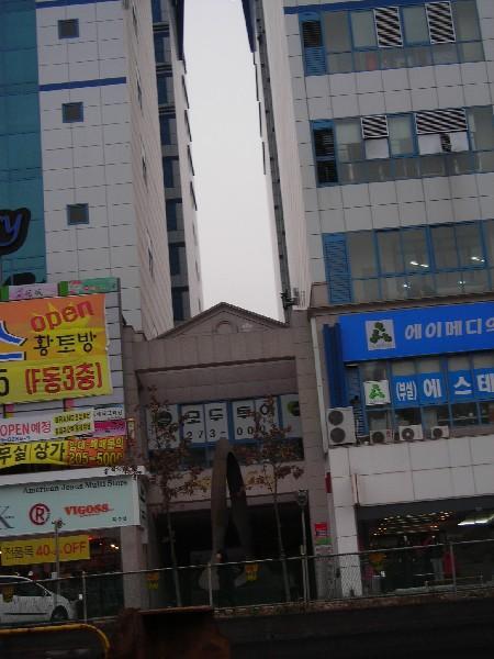 DSCN8881
