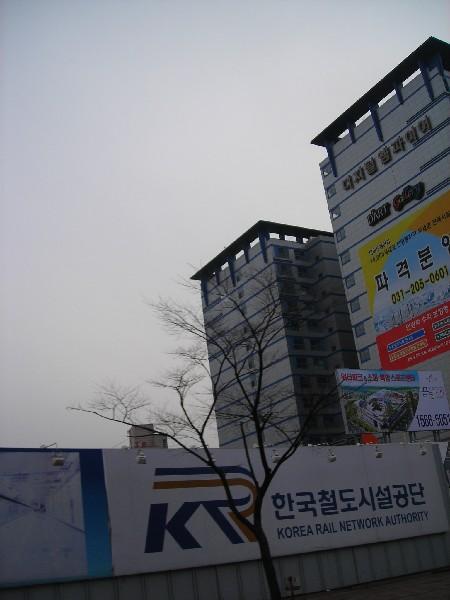 DSCN8889