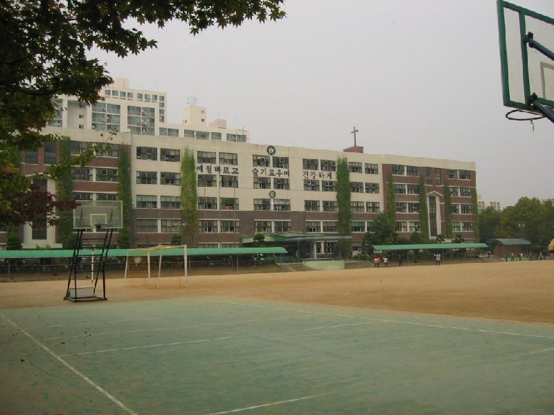 부흥초