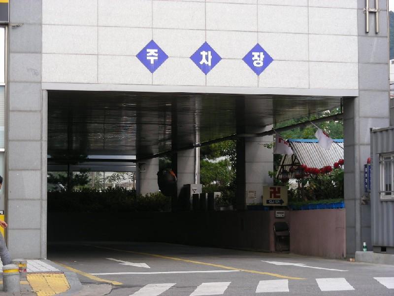 DSCN6237