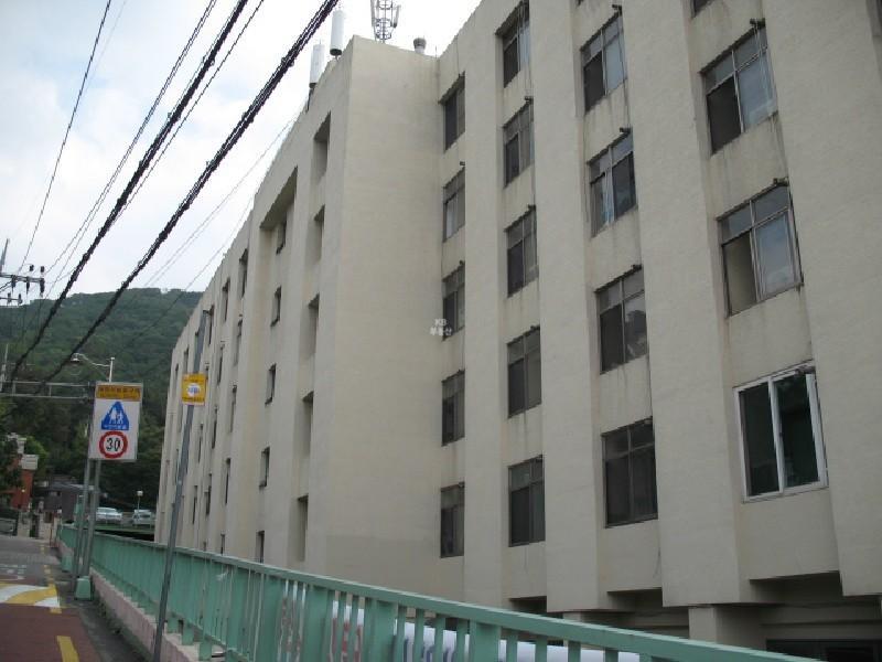 사진 205