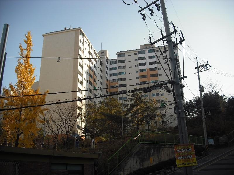 DSCF0375