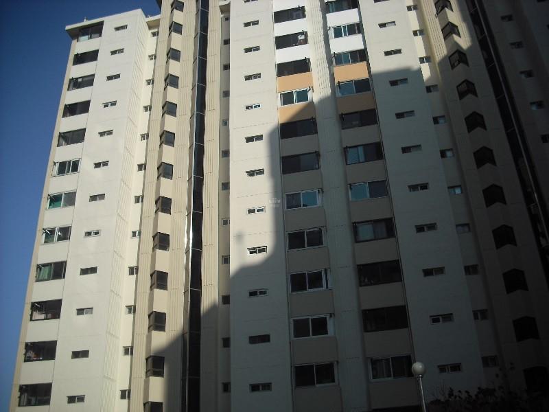DSCF0383