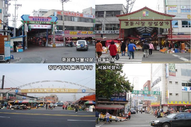 13 편리한 쇼핑시설