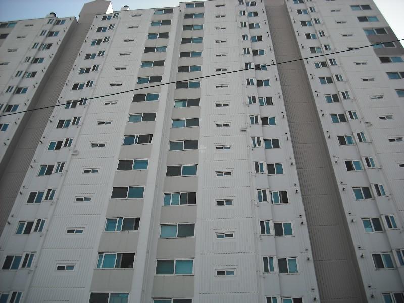 DSCF0313