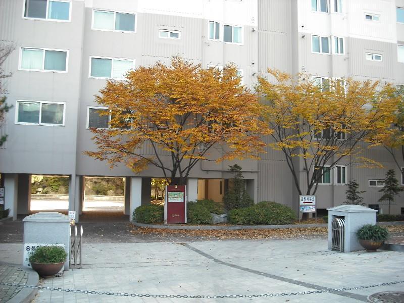 DSCF0316
